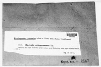 Image Associated With the Occurence
